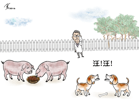 台灣政治分贓的豬狗哲學